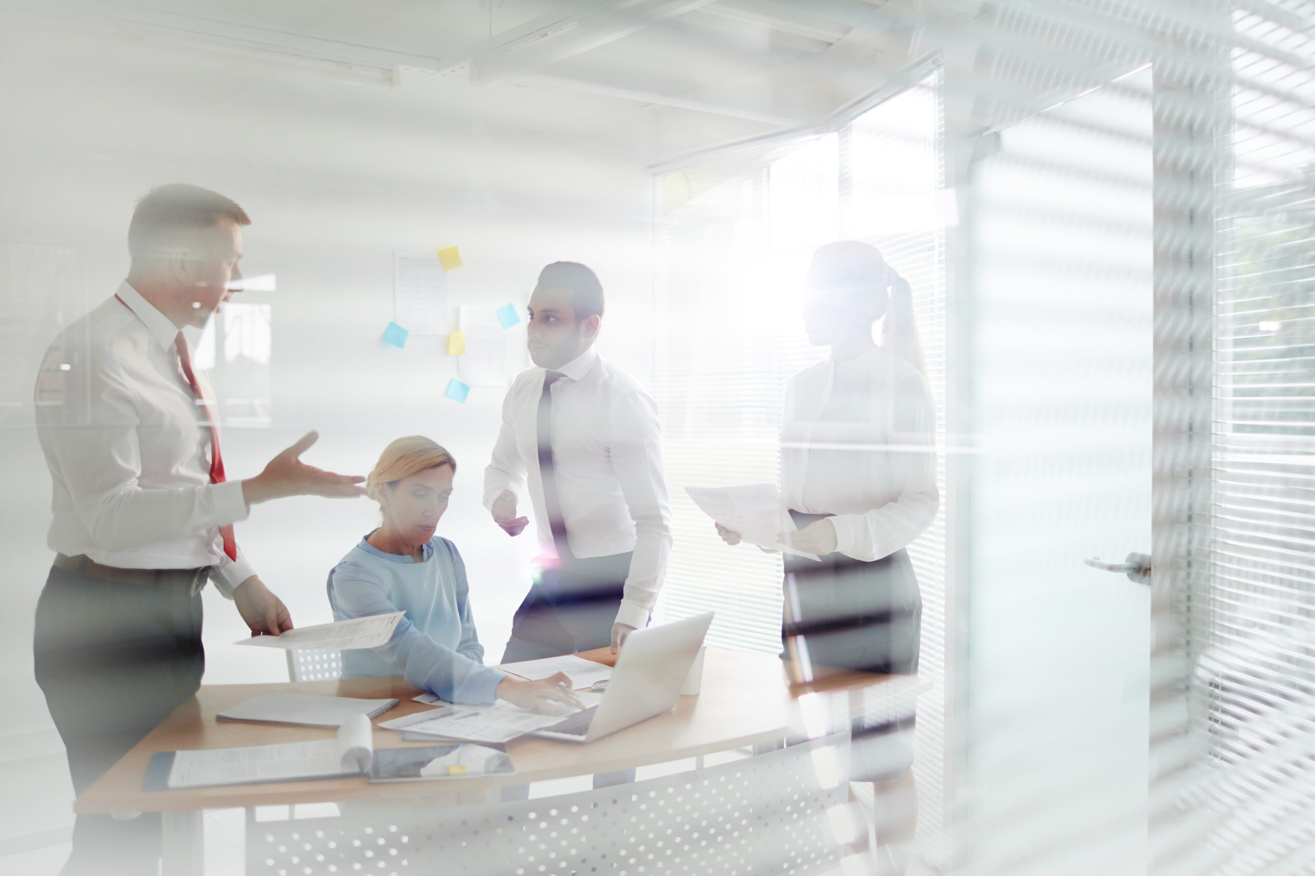 Dual language agreements Egypt — negotiation aligning English and Arabic versions