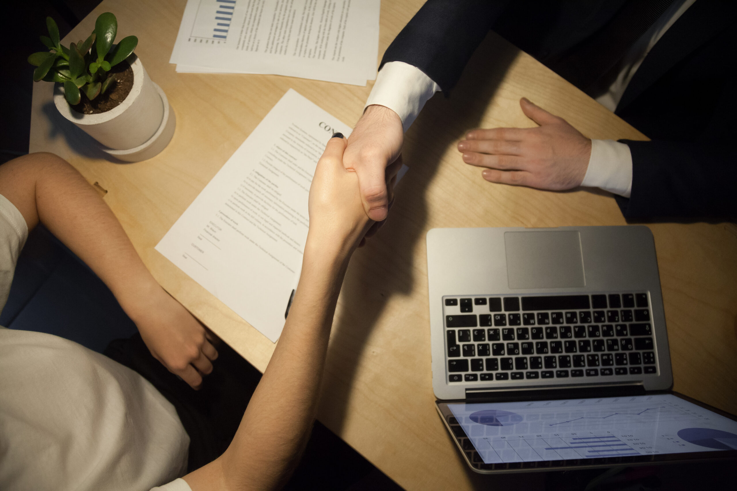 Legal Representation Egypt