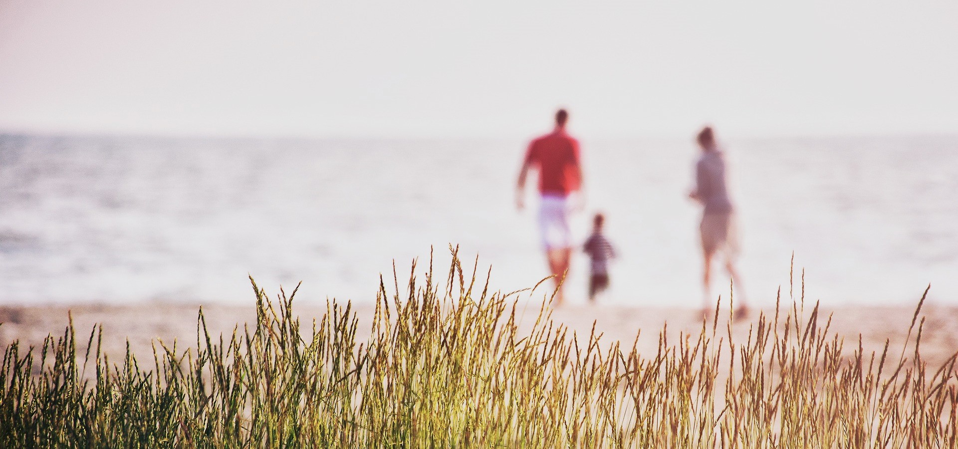 Divorce & family law services in Egypt for foreign nationals