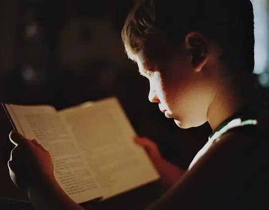 Inheritance in Egypt for foreigners with structured legal planning, heir documentation, and cross-border estate procedure under Egyptian law