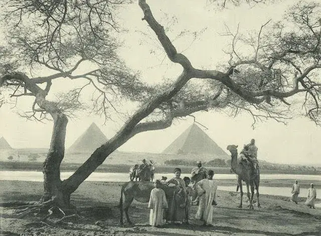 Claim Inheritance in Egypt with document review, heir identification and Egypt-side legal coordination