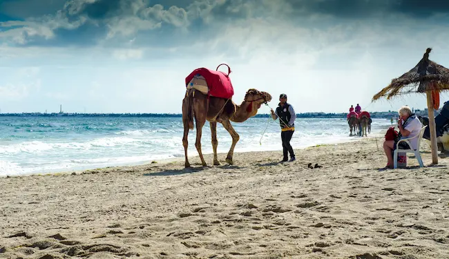 Buying Property in Egypt for Foreigners with a Property Lawyer in Egypt for Foreign Buyers reviewing maintenance charges, service fees and contract documents