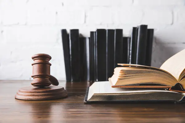 Egypt real estate due diligence reviewing seller documents, title chain, registry position and purchase risks