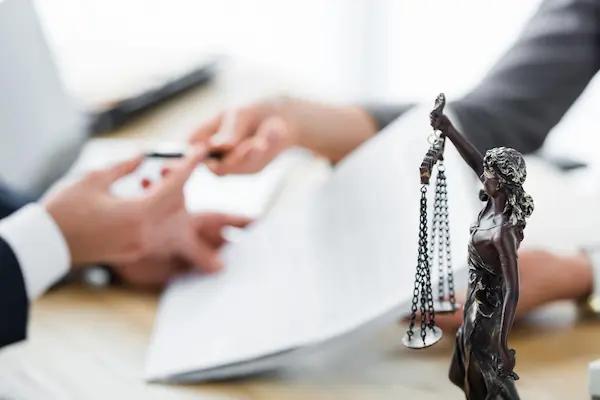 Power of attorney for property in Egypt covering sale, purchase, management, registration and legalisation