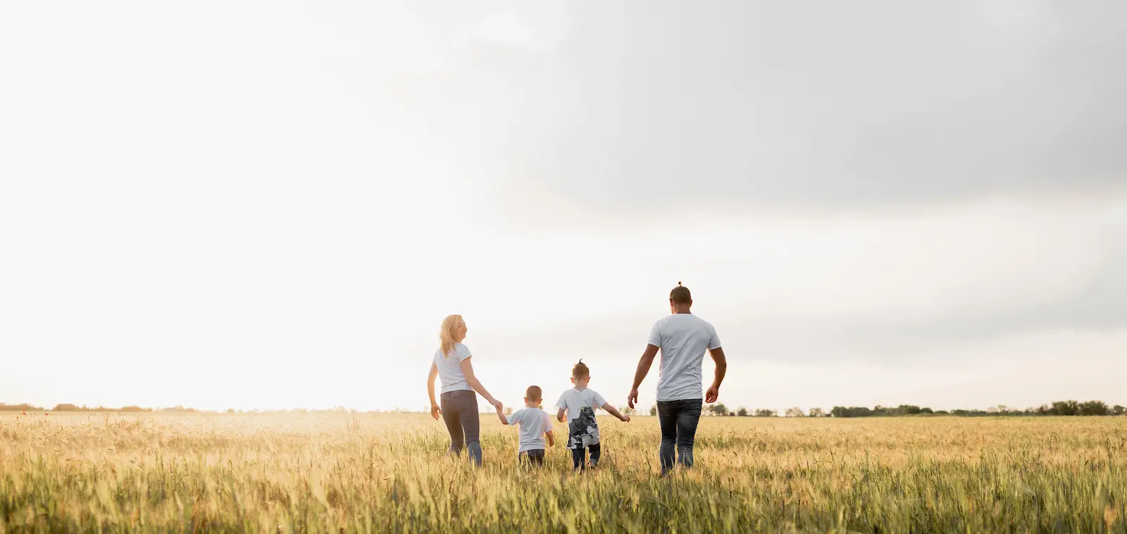 Fault-based divorce for foreigners in Egypt involving divorce for harm Egypt, evidence for harm Egypt divorce and Egyptian Family Court proceedings