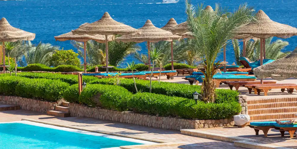 Power of Attorney Egypt Property — bilingual legal documentation for property transactions
