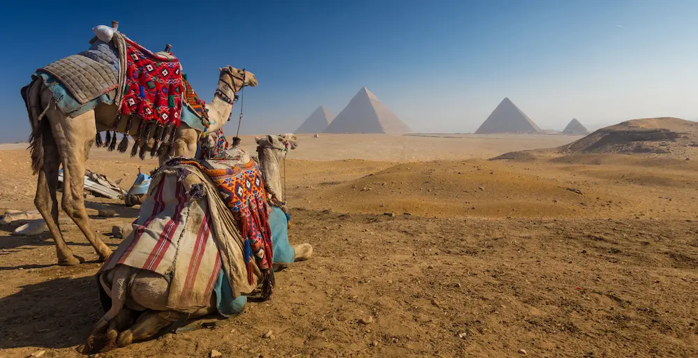Egypt Real Estate Due Diligence for foreign buyers reviewing seller, title, contract and property risks before purchase